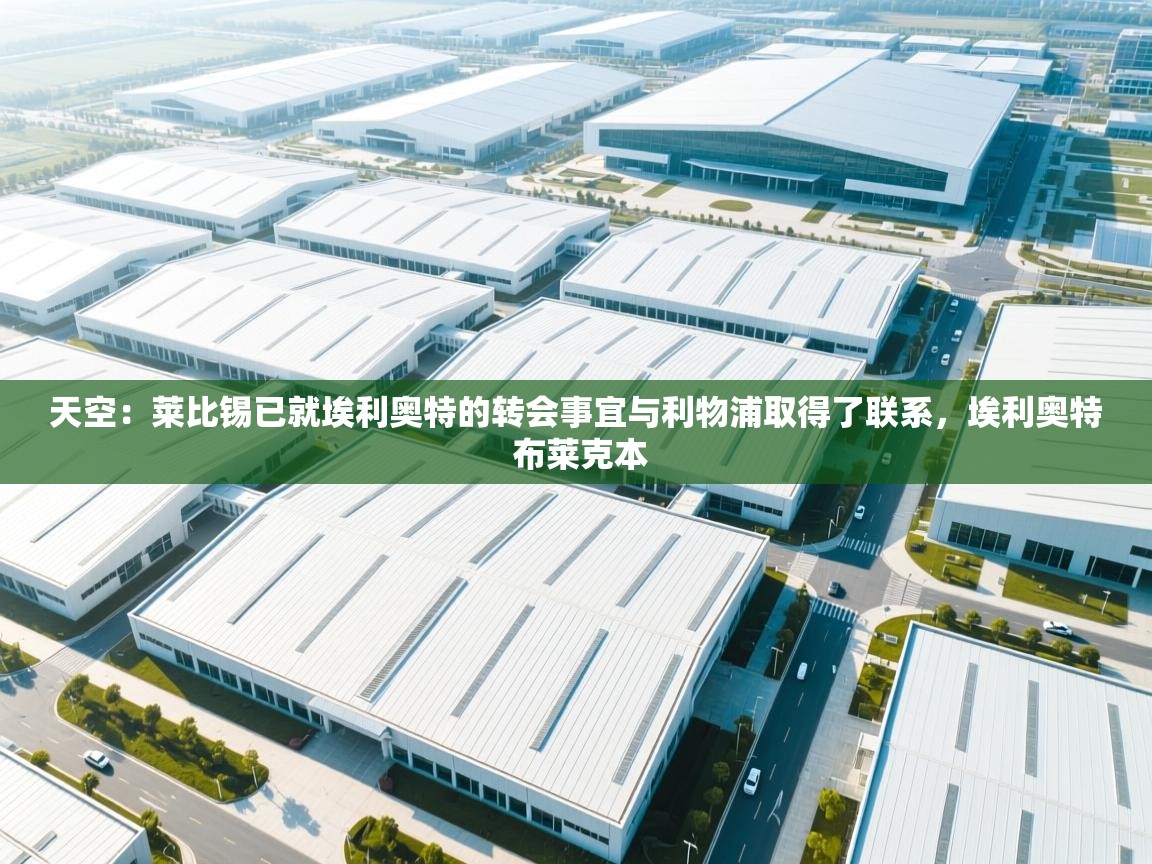 天空：莱比锡已就埃利奥特的转会事宜与利物浦取得了联系，埃利奥特 布莱克本  第1张