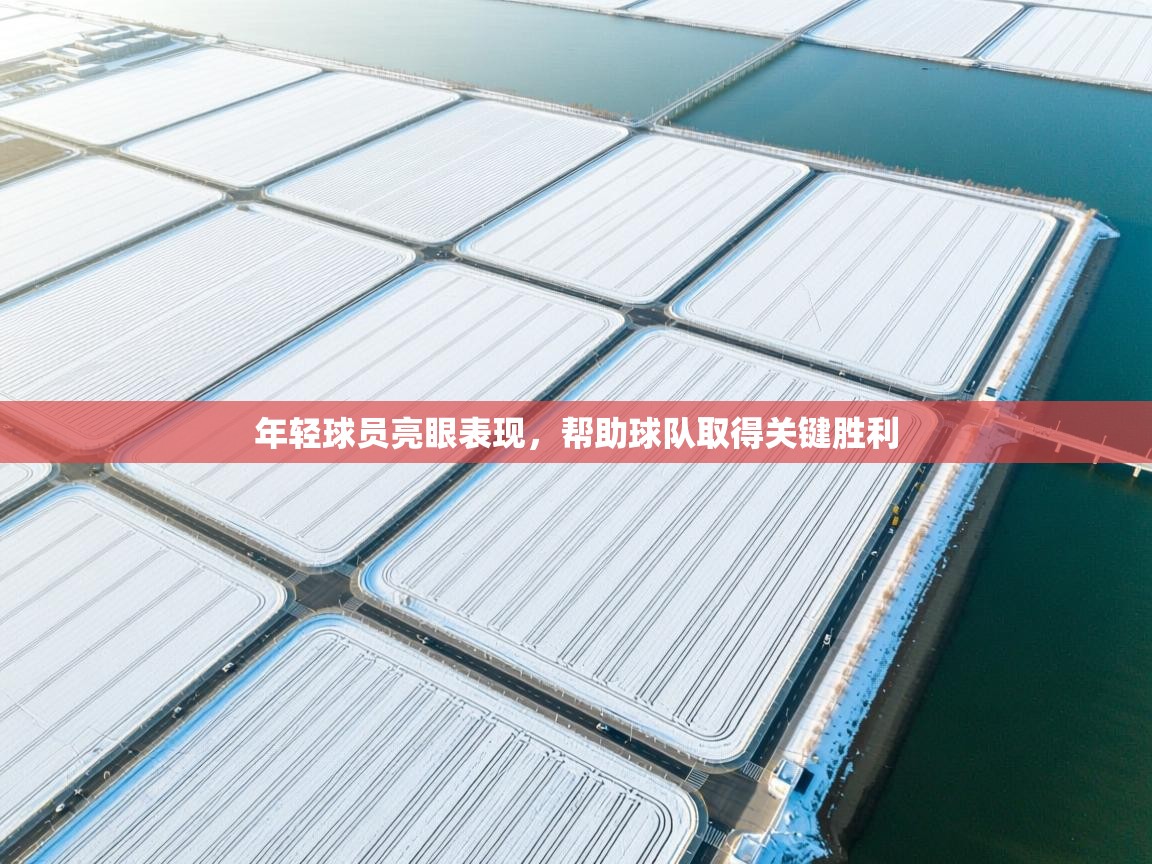 年轻球员亮眼表现,帮助球队取得关键胜利 第1张