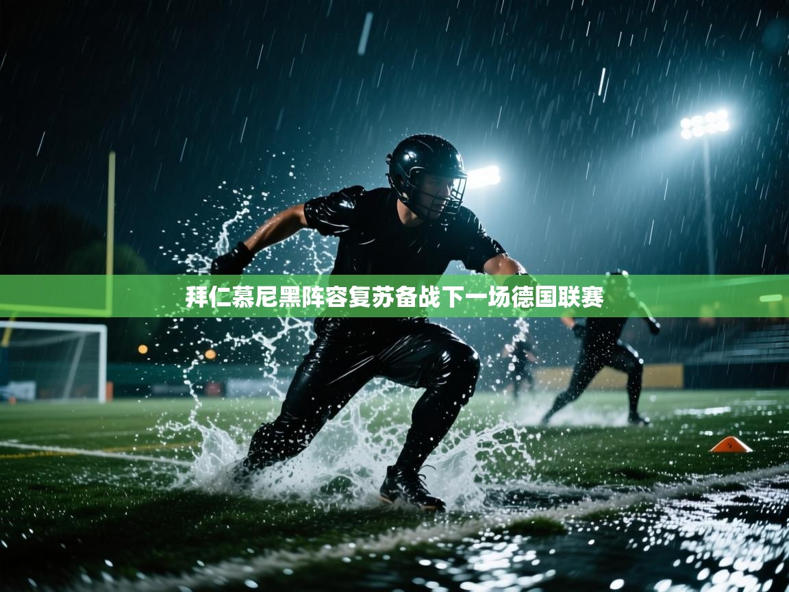 拜仁慕尼黑阵容复苏备战下一场德国联赛  第1张