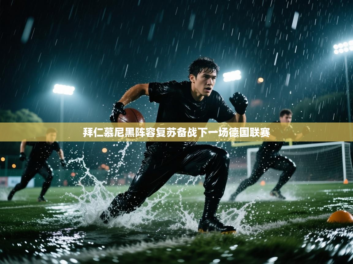 拜仁慕尼黑阵容复苏备战下一场德国联赛  第2张